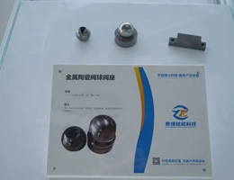 Buenas Noticias | ¡Cálidas felicitaciones a la industria de sellado de Zhaoqiang, una subsidiaria de propiedad absoluta del imán de titanio Zhaoqiang, por ser preseleccionado para la especialización, refinamiento, unicidad, innovador ''Pequeño gigante''